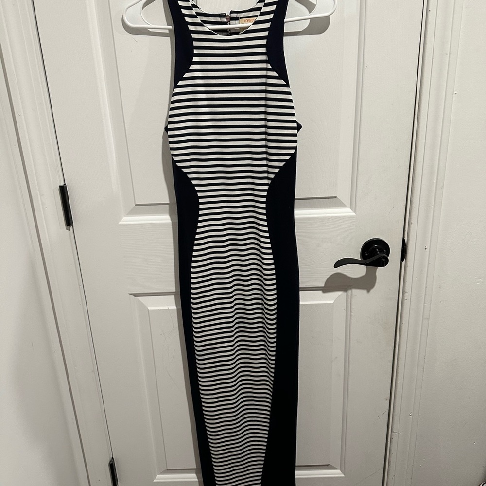 Torn by Ronny Kobo Maxi Dress